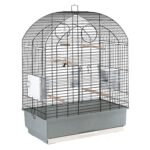 Клітка для канарок попуг і маленьких екзотичних птахів  VIOLA 59 х 33 х висота 80 см